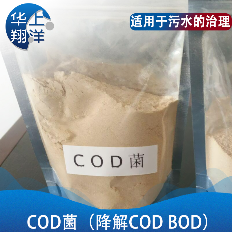  COD菌-COD bacteria