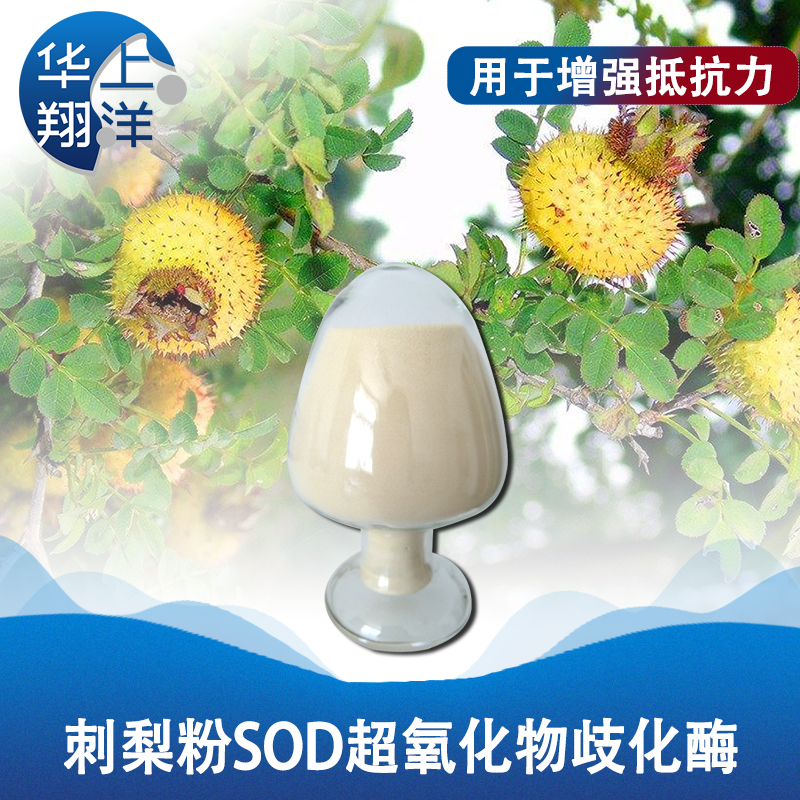 刺梨粉 SOD超氧化物歧化酶-Prickly pear powder SOD superoxide dismutase